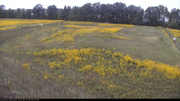 Cell 3_23-09-16_15-34-42-73