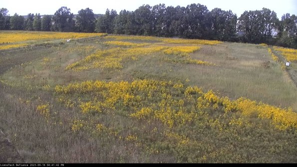 Cell 3_23-09-16_16-41-42-71