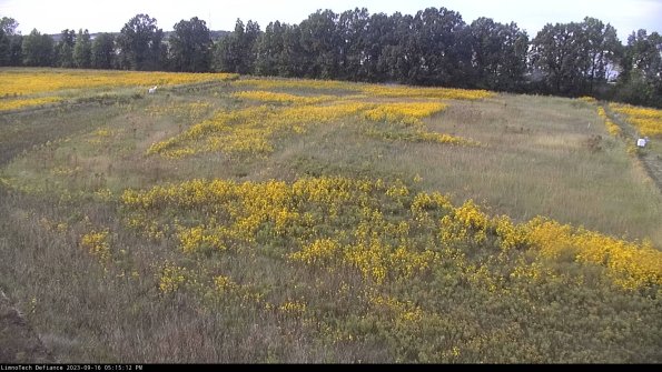 Cell 3_23-09-16_17-15-12-72