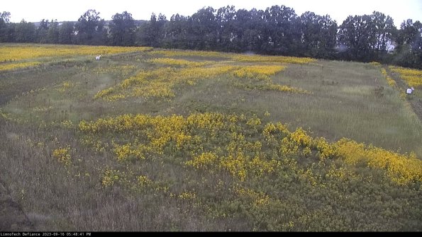 Cell 3_23-09-16_17-48-41-75