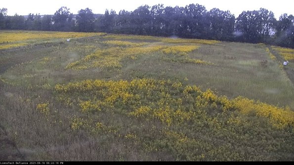 Cell 3_23-09-16_18-22-10-96