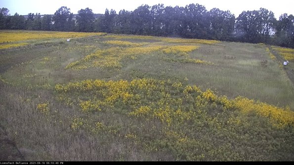 Cell 3_23-09-16_18-55-40-72