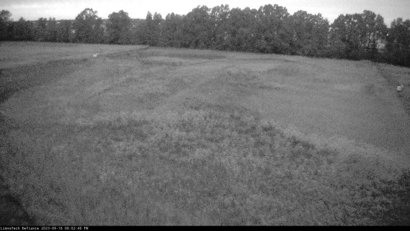 Cell 3_23-09-16_20-02-40-73