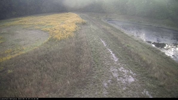 Cell 4 to Basin_23-09-16_07-13-20-73