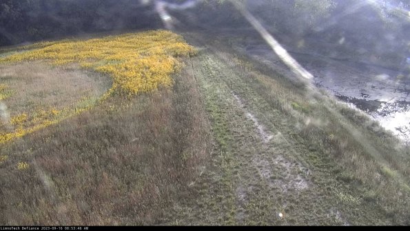 Cell 4 to Basin_23-09-16_08-53-46-72