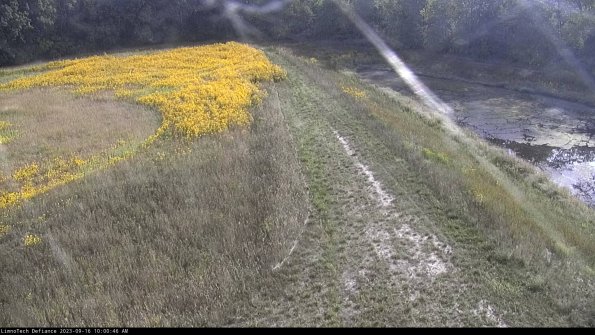 Cell 4 to Basin_23-09-16_10-00-46-69