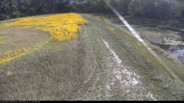 Cell 4 to Basin_23-09-16_11-07-46-73