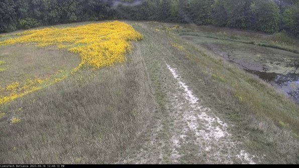 Cell 4 to Basin_23-09-16_12-48-13-76