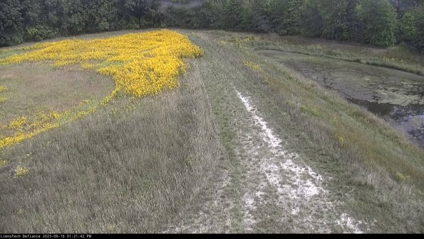 Cell 4 to Basin_23-09-16_13-21-42-71