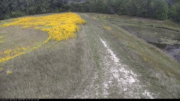 Cell 4 to Basin_23-09-16_13-55-12-73