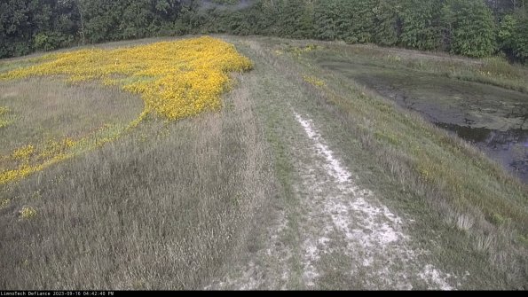 Cell 4 to Basin_23-09-16_16-42-40-73