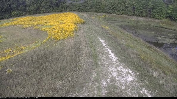 Cell 4 to Basin_23-09-16_17-16-10-75