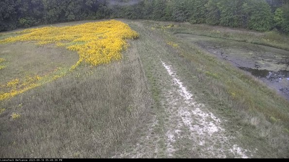 Cell 4 to Basin_23-09-16_17-49-39-74