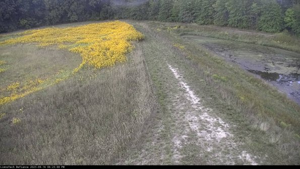 Cell 4 to Basin_23-09-16_18-23-08-76