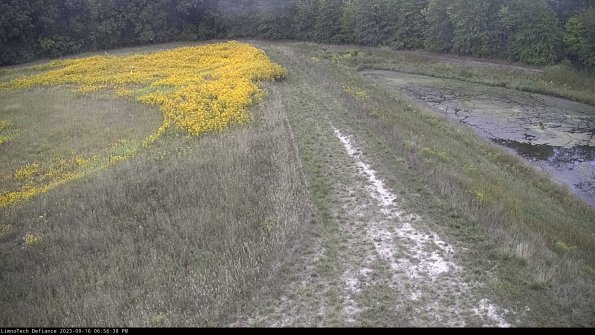 Cell 4 to Basin_23-09-16_18-56-38-74