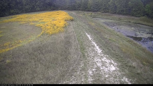 Cell 4 to Basin_23-09-16_19-30-09-76