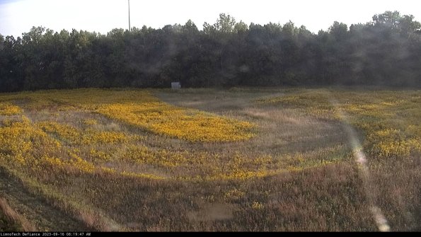 Cell 4_23-09-16_08-19-47-73