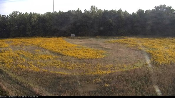 Cell 4_23-09-16_08-53-16-72