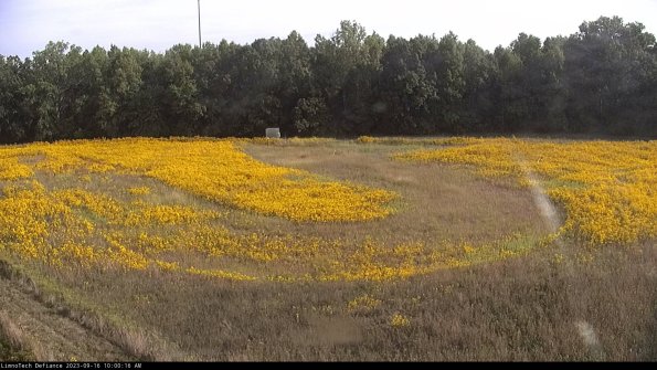 Cell 4_23-09-16_10-00-16-69