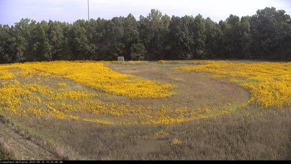 Cell 4_23-09-16_10-33-46-72