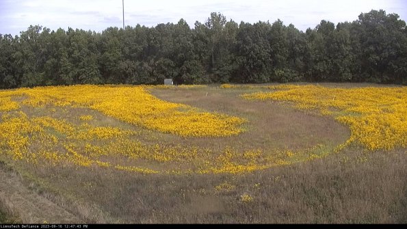 Cell 4_23-09-16_12-47-43-73