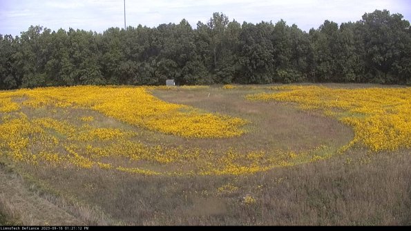 Cell 4_23-09-16_13-21-12-71