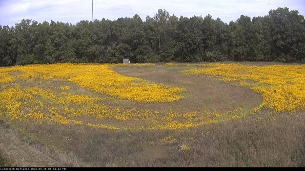 Cell 4_23-09-16_13-54-42-73