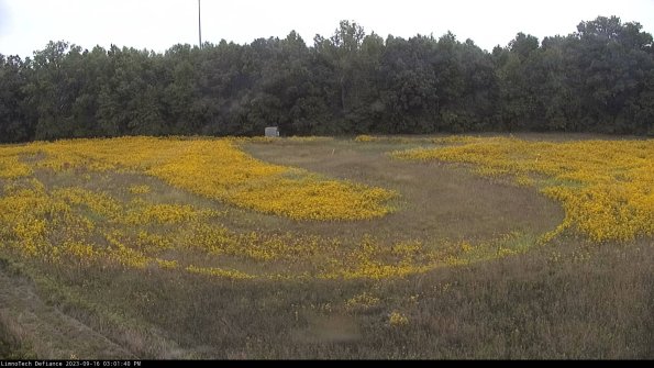 Cell 4_23-09-16_15-01-40-71