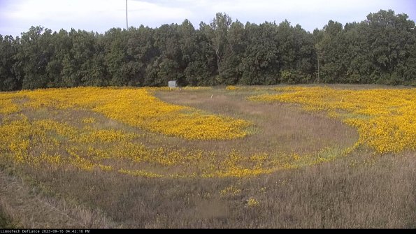 Cell 4_23-09-16_16-42-10-74