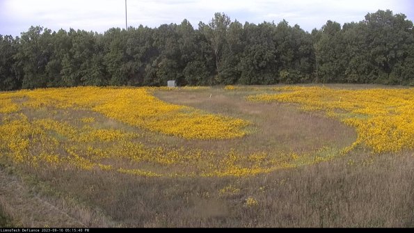 Cell 4_23-09-16_17-15-40-72