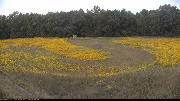 Cell 4_23-09-16_17-49-09-74