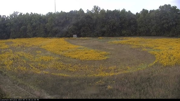 Cell 4_23-09-16_18-22-38-76