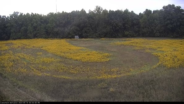 Cell 4_23-09-16_18-56-08-71