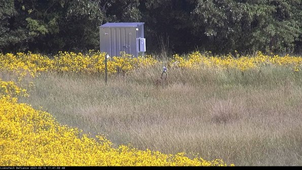 Outlet_23-09-16_11-41-00-74