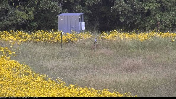 Outlet_23-09-16_13-21-27-73