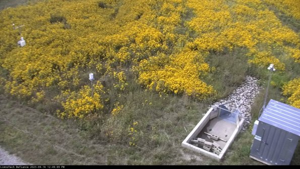 Weather & Flume_23-09-16_12-49-09-98