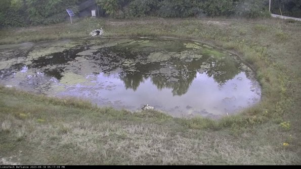 Basin Right_23-09-18_17-17-39-71