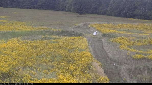 Cell 1 to 2_23-09-18_17-15-18-70