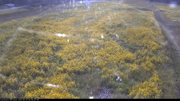 Cell 1_23-09-18_17-48-34-71