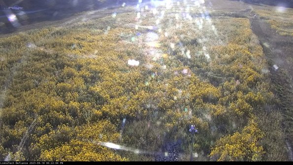 Cell 1_23-09-18_18-22-04-73