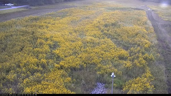 Cell 1_23-09-18_18-55-34-75