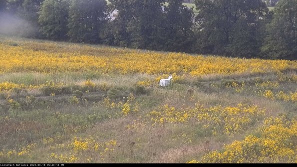 Cell 2 to 3_23-09-18_17-49-14-88