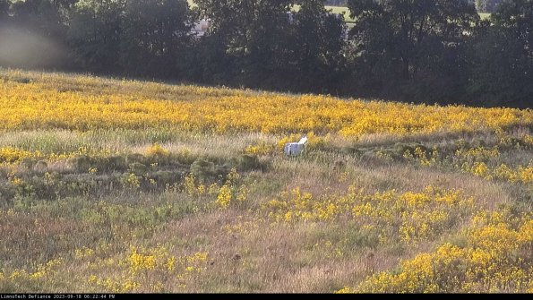 Cell 2 to 3_23-09-18_18-22-44-81