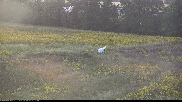 Cell 2 to 3_23-09-18_19-29-43-94