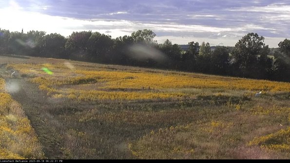 Cell 2_23-09-18_18-22-31-76