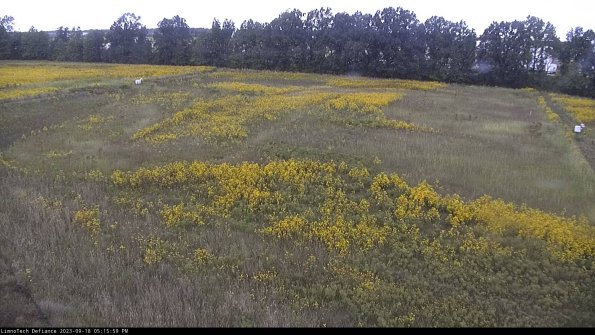 Cell 3_23-09-18_17-15-59-71