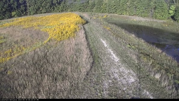 Cell 4 to Basin_23-09-18_18-23-57-75