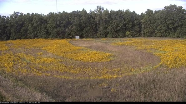 Cell 4_23-09-18_17-49-57-73