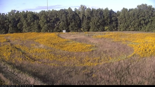 Cell 4_23-09-18_18-23-27-71