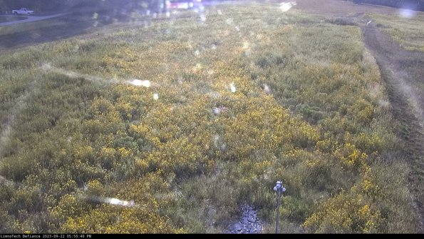 Cell 1_23-09-22_17-50-40-72